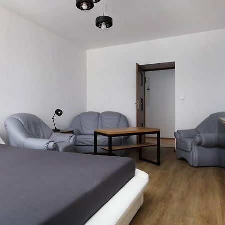 Przyjazny Apartament W Bedzinie Dış mekan fotoğraf