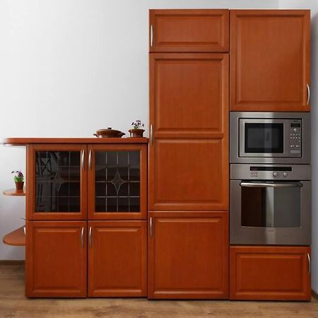 Przyjazny Apartament W Bedzinie Dış mekan fotoğraf