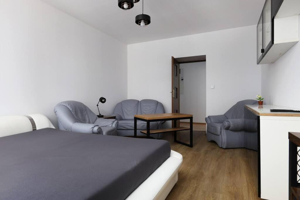 Przyjazny Apartament W Bedzinie Dış mekan fotoğraf