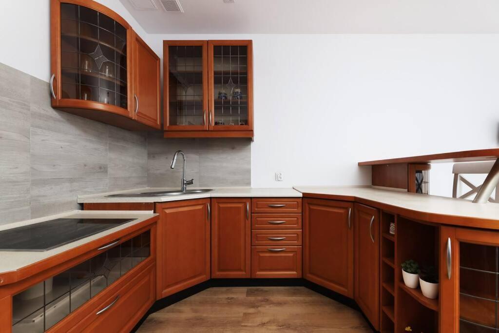Przyjazny Apartament W Bedzinie Dış mekan fotoğraf