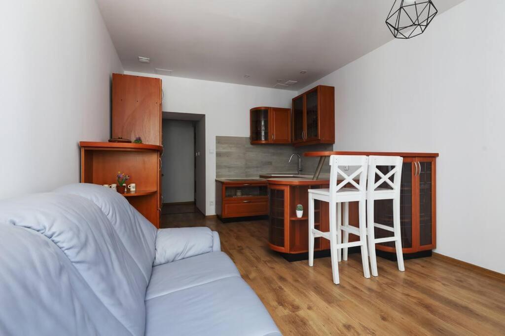 Przyjazny Apartament W Bedzinie Dış mekan fotoğraf